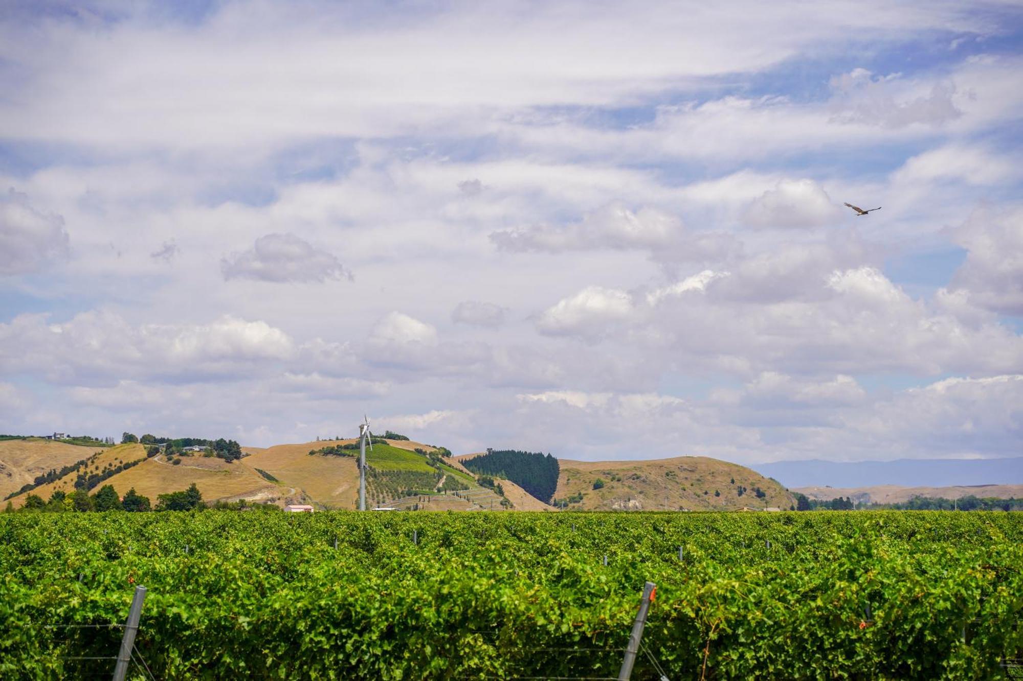 Fernhill Syrah Suite Unison Vineyard מראה חיצוני תמונה